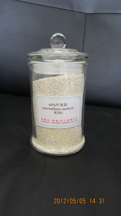 60% metsulfuron-methyl WDG